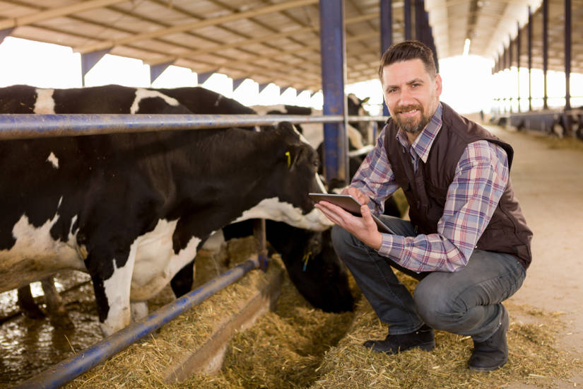 Dairy farmer with technology